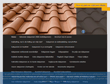 Tablet Screenshot of dakpanneninfo.nl